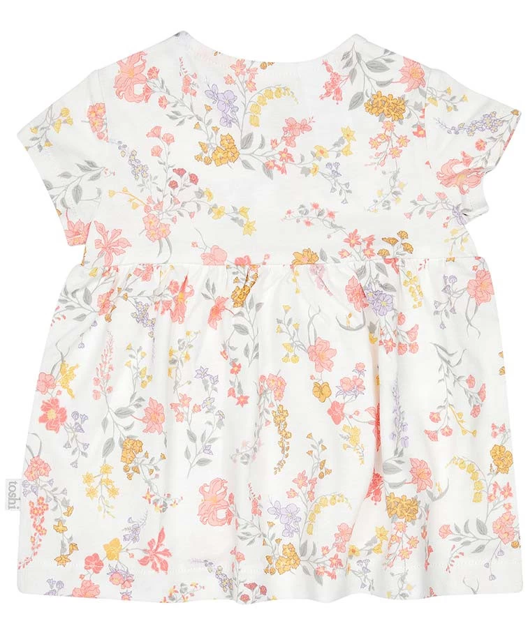 Knit Dress Classic Short Sleeve Isabelle 4 Knit Dress Classic Short Sleeve Isabelle - Image 2